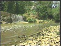 Lassiter Mill Special